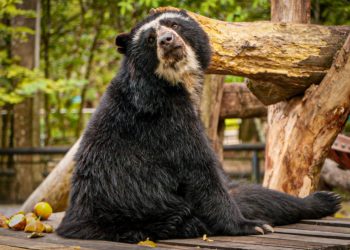 Bioparque Los Ocarros abre todos los días en Semana Santa, incluidos festivos