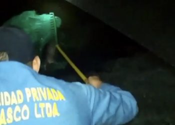 Vigilantes del parque Malocas en Villavicencio asesinan y juegan con un armadillo