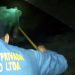 Vigilantes del parque Malocas en Villavicencio asesinan y juegan con un armadillo