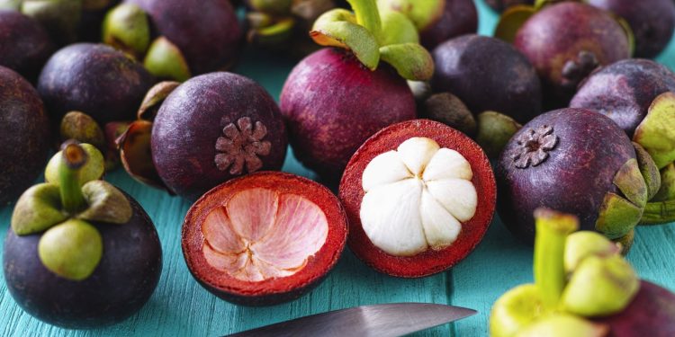 $1 millón de dólares en preventa de Mangostino dejó la rueda de negocios realizada en Guamal