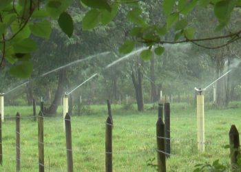 Ecopetro recibió premio internacional por reusó de agua para riego de cultivos en el Meta