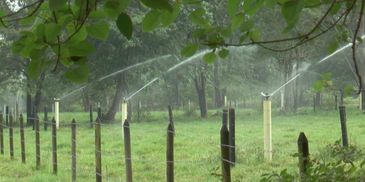 Ecopetro recibió premio internacional por reusó de agua para riego de cultivos en el Meta