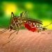 Más de 100 casos de dengue identificados en Guamal