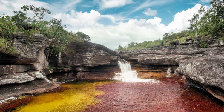 Caño Cristales estará  abierto nuevamente a partir del 16 de junio