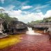 Caño Cristales estará  abierto nuevamente a partir del 16 de junio
