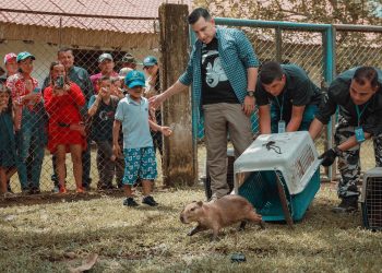 En libertad quedaron 23 animales silvestres rescatados por Cormacarena