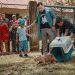 En libertad quedaron 23 animales silvestres rescatados por Cormacarena