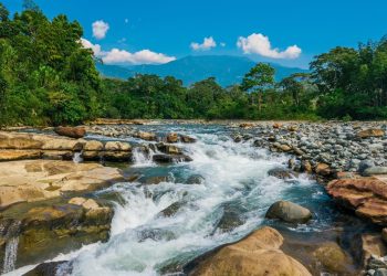 Cormacarena abre inscripciones para participar del concurso Ecovideo ‘La biodiversidad nos inspira’