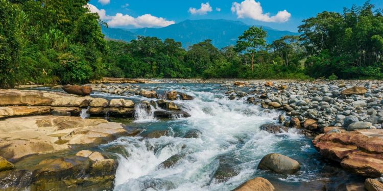 Cormacarena abre inscripciones para participar del concurso Ecovideo ‘La biodiversidad nos inspira’