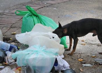 Comenzará a regir el comparendo ambiental en Villavicencio