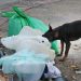 Comenzará a regir el comparendo ambiental en Villavicencio