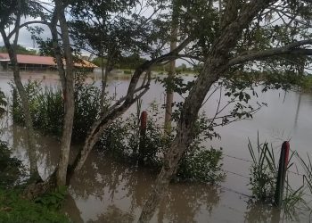 Con maquinaria amarilla, gobernación del Meta brinda soporte a municipios afectados por el invierno