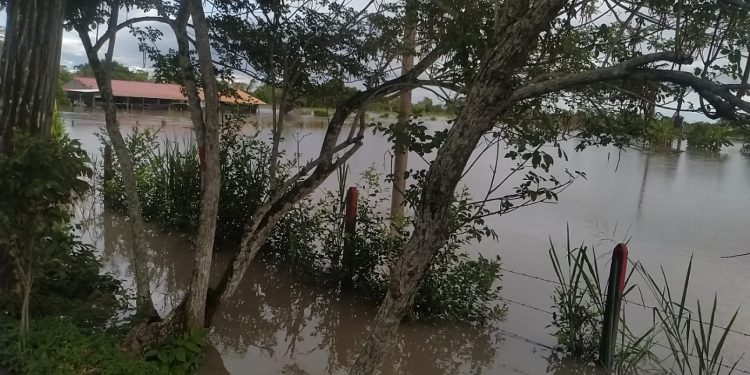Con maquinaria amarilla, gobernación del Meta brinda soporte a municipios afectados por el invierno