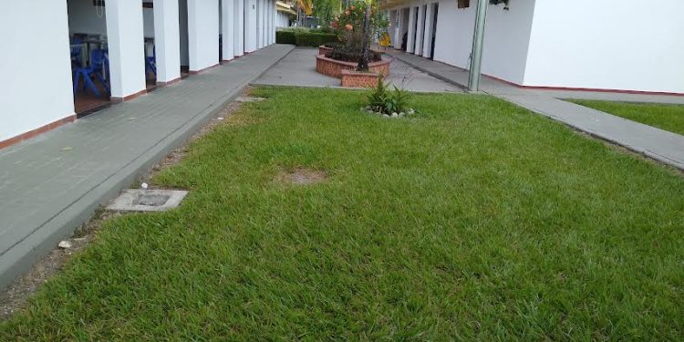 Esta semana inician labores de embellecimiento en colegios de Villavicencio