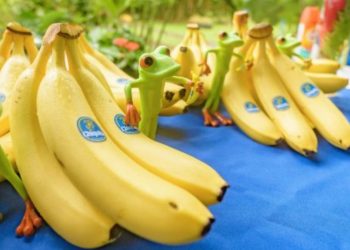 Chiquita Brands, responsable de financiar el paramilitarismo en Colombia