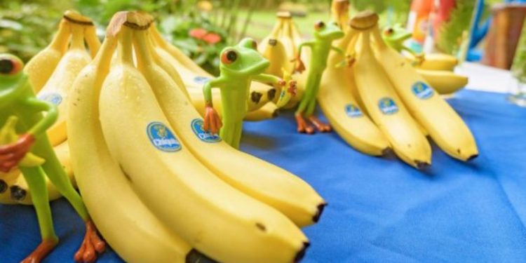 Chiquita Brands, responsable de financiar el paramilitarismo en Colombia