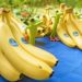 Chiquita Brands, responsable de financiar el paramilitarismo en Colombia