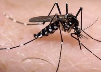 En Casanare tres muertes confirmadas por dengue