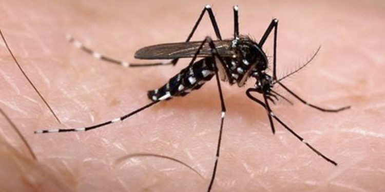 En Casanare tres muertes confirmadas por dengue
