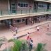Estudiantes de último grado conocerán ofertas para acceder a educación superior