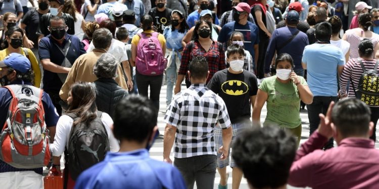 La OMS reporta en México la primera muerte humana por gripe aviar en el mundo