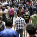 La OMS reporta en México la primera muerte humana por gripe aviar en el mundo