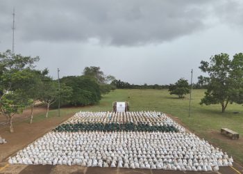 Incautan 955 galones de pasta base de coca en Vichada