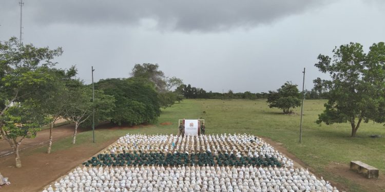 Incautan 955 galones de pasta base de coca en Vichada