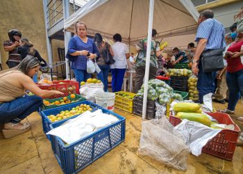 La urbanización Cataluña tendrá mercado campesino este domingo