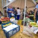 La urbanización Cataluña tendrá mercado campesino este domingo