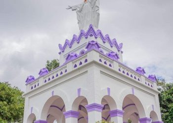 Más de 2.600 metros cuadrados de hierba y maleza se han retirado en Cristo Rey
