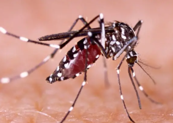 Villavicencio intensifica prevención contra el dengue tras reporte semestral de casos