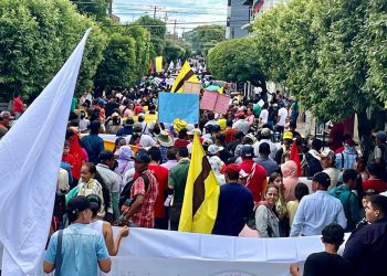 Más de 600 organizaciones campesinas se movilizaron en respaldo de la Reforma Agraria del Gobierno del Cambio