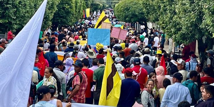 Más de 600 organizaciones campesinas se movilizaron en respaldo de la Reforma Agraria del Gobierno del Cambio