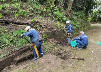 Nueva jornada de recuperación y embellecimiento en el cerro de Cristo Rey