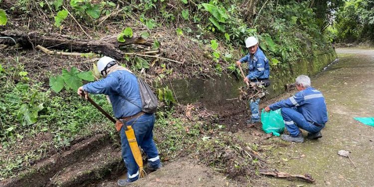 Nueva jornada de recuperación y embellecimiento en el cerro de Cristo Rey