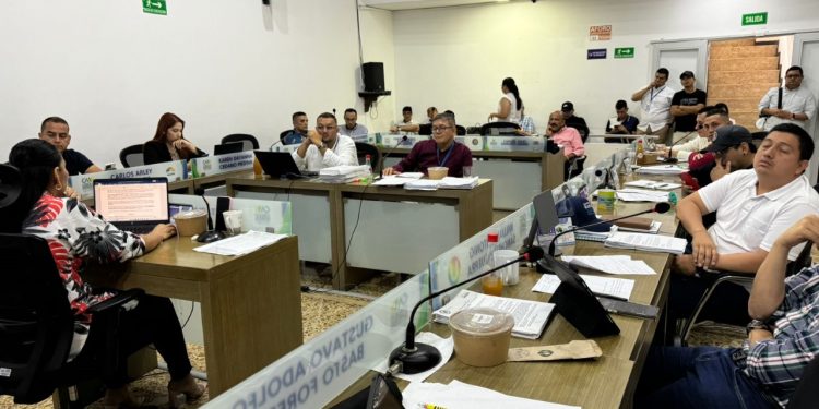 Piedemonte le cumplió al concejo municipal mientras contratista de bosques de Santa Ana no dio la cara