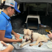 En operativos de bienestar animal fue rescatado un perro pitbull presuntamente maltratado