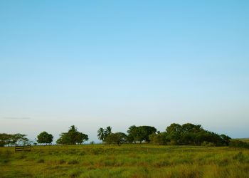Los trámites ante La Agencia Nacional de Tierras son gratuitos y no necesitan intermediarios, no se deje engañar