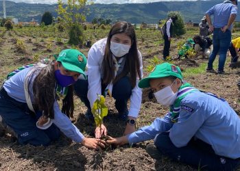 Con la siembra de 8 mil árboles nativos en Puerto López, la secretaría de Ambiente contribuye a la reforestación en el Departamento 