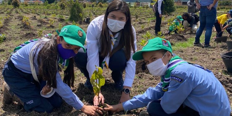 Con la siembra de 8 mil árboles nativos en Puerto López, la secretaría de Ambiente contribuye a la reforestación en el Departamento 