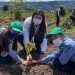 Con la siembra de 8 mil árboles nativos en Puerto López, la secretaría de Ambiente contribuye a la reforestación en el Departamento 