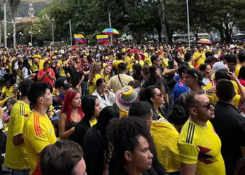 4 homicidios y miles de comparendos: el saldo en Bogotá tras final de la Copa América