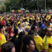 4 homicidios y miles de comparendos: el saldo en Bogotá tras final de la Copa América