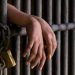 Aseguradas ocho personas presuntamente implicadas en microtráfico en Villavicencio