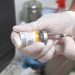 Autoridades de salud de Arauca invitan a que se vacunen contra la fiebre amarilla