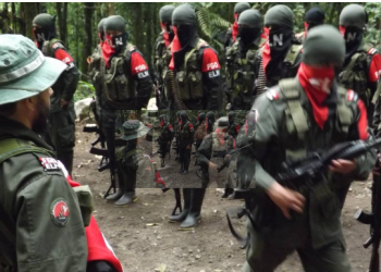 Delegación del Gobierno acepta reunión con ELN para extender cese al fuego