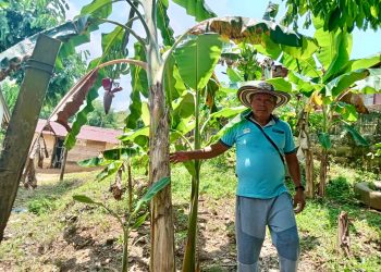 Agencia Nacional de Tierras entregó a la comunidad Senú, la constitución del Resguardo Indígena José de los Santos en Cáceres, Antioquia