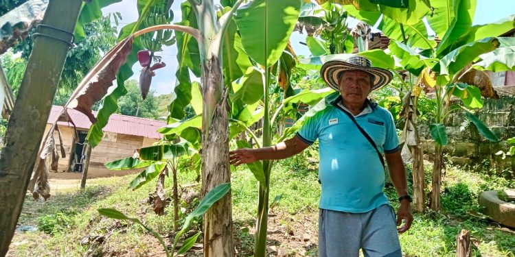 Agencia Nacional de Tierras entregó a la comunidad Senú, la constitución del Resguardo Indígena José de los Santos en Cáceres, Antioquia