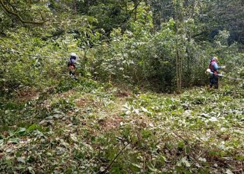 Más de 6.000 metros cuadrados despejados de maleza en el barrio Las Américas